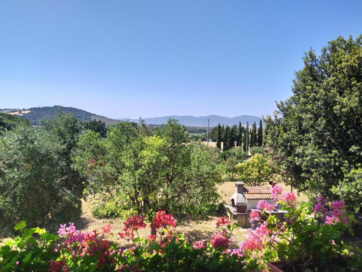 Agriturismo San Giorgino グロッセート エクステリア 写真