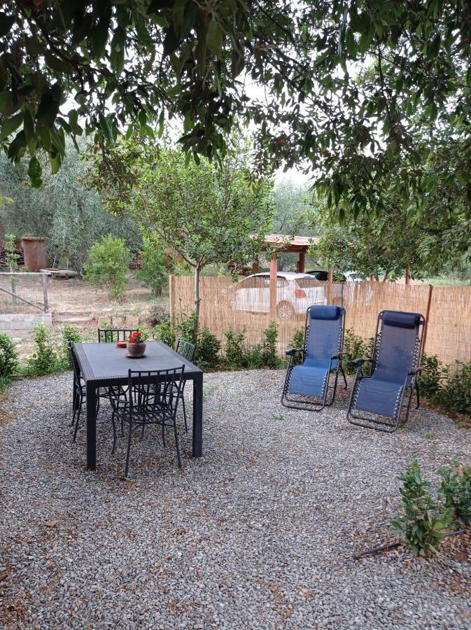Agriturismo San Giorgino グロッセート 部屋 写真