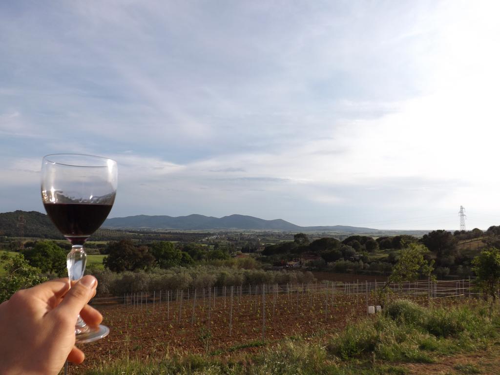 Agriturismo San Giorgino グロッセート エクステリア 写真