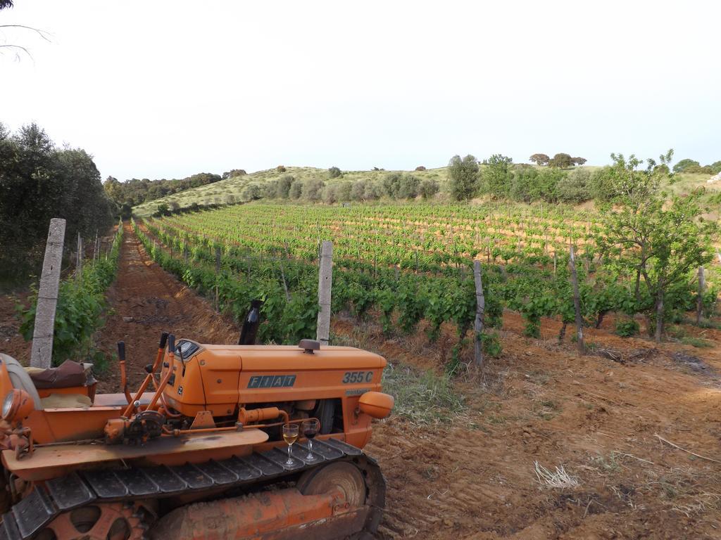 Agriturismo San Giorgino グロッセート エクステリア 写真